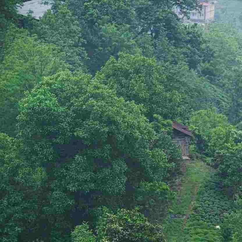 زهرا قاسمی حدیث آشنایی